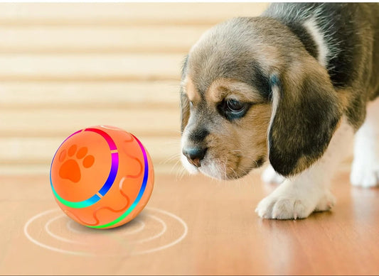 Peppy Pet Ball for Dogs, Interactive Dog Toy Durable Automatic Rolling Ball with Led Flash Lights for Small Medium Dogs Breed, Wicked Ball with Motion Activat Bpa-Free USB Rechargeable
