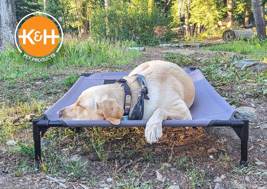 Outdoor Elevated Dog Cot, Breathable Cooling Elevated Cot Hammock Pet Bed for Large Dogs, Washable Mesh Cover, Raised Metal Frame, Collapsible, Portable - Large 42 X 30In Gray